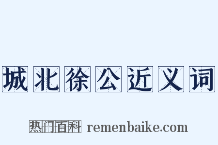 城北徐公近义词是什么意思的图片